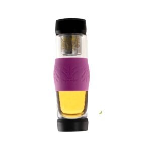 1-7.jpg Botella Termo para Infusiones de Té – 500 mL – Con Filtro de Acero Inoxidable – Vidrio Borosilicato – Hermética, Sin BPA, Reutilizable – FranquiHOgar
