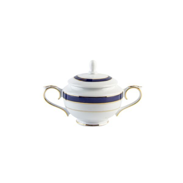 Juego de té de porcelana blanca con filo de oro y azul cobalto (27 piezas) Royal Blue, 12 tazas de té, 12 platillos para tazas, 1 tetera, 1 lechera, 1 azucarero