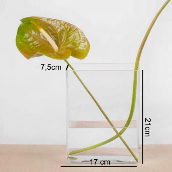 2-12.jpg Florero de cristal hidropónico de 210 mm (1 pieza) Nimes, hecho a mano