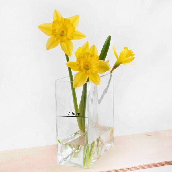 Florero de cristal hidropónico de 180 mm (1 pieza) Nimes, hecho a mano