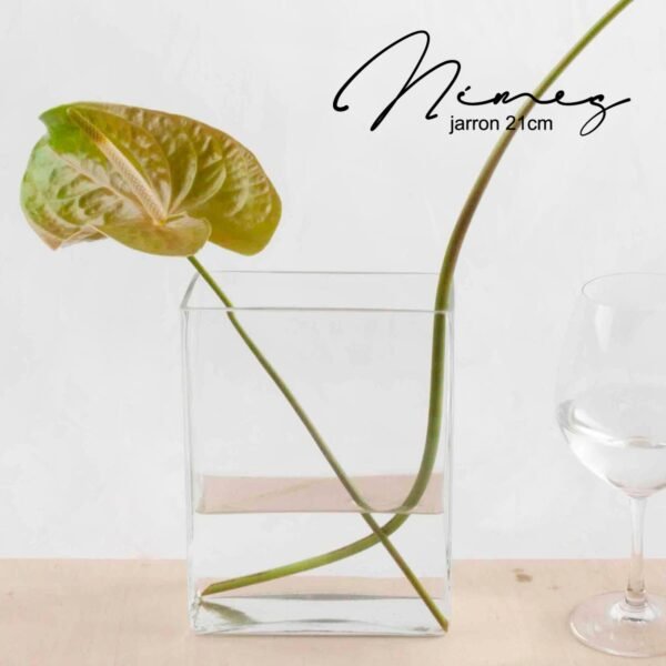3-11.jpg Florero de cristal hidropónico de 210 mm (1 pieza) Nimes, hecho a mano