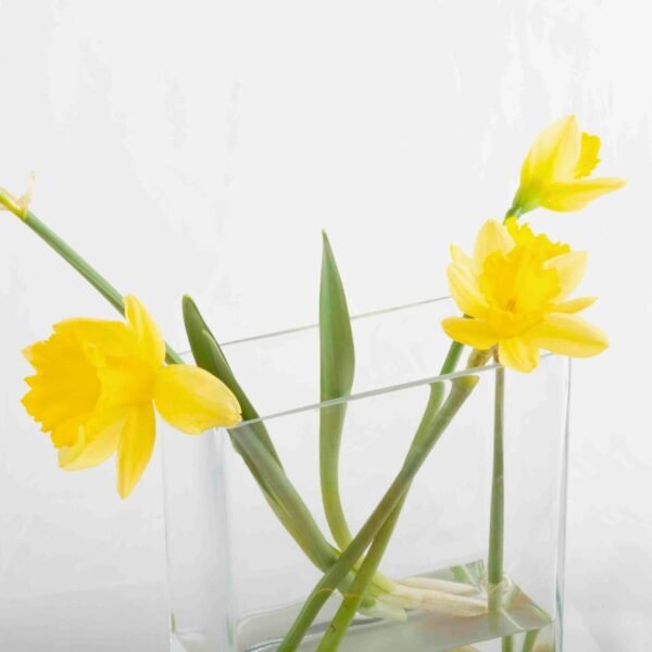 Florero de cristal hidropónico de 180 mm (1 pieza) Nimes, hecho a mano