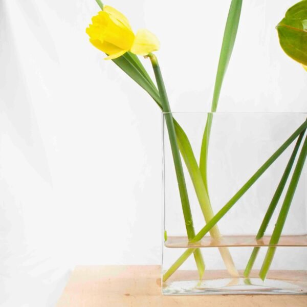 Florero de cristal hidropónico de 180 mm (1 pieza) Nimes, hecho a mano