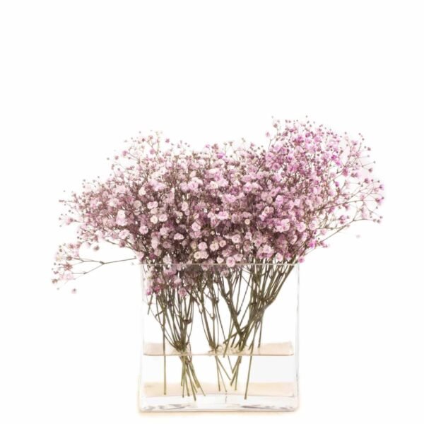 Florero de cristal hidropónico de 180 mm (1 pieza) Nimes, hecho a mano