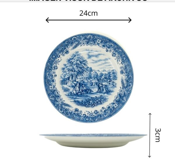 WhatsApp-Image-2024-10-16-at-19.18.54.jpeg Juego de 6 Platos llanos de ceramica – 24 cm – Decoración de Paisajes Ingleses – Loza Inglesa Churchill – Apto -30ºC a 300ºC