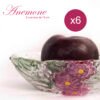 Boles de cristal de bohemia (6 piezas) Anemone