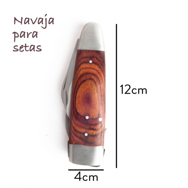 Navaja para setas multiusos (1 unidad), 1 cepillo para setas, 1 navaja para setas, 1 cuchillo, 1 descorchador, 1 abrebotellas