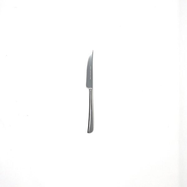 whatsapp-image-2024-01-08-at-132152-1.jpeg Juego de cubiertos en acero inoxidable (19 piezas) Trento, 6 tenedores, 6 cuchillos, 6 cucharas, 1 cucharón